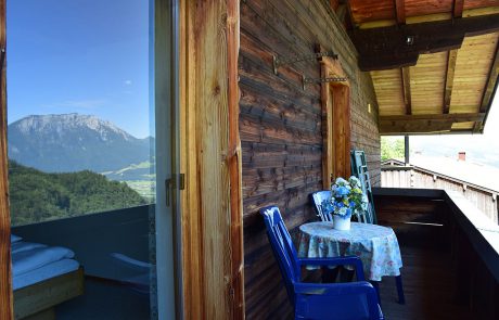 Ferienwohnung Luegsteinsee - Balkon